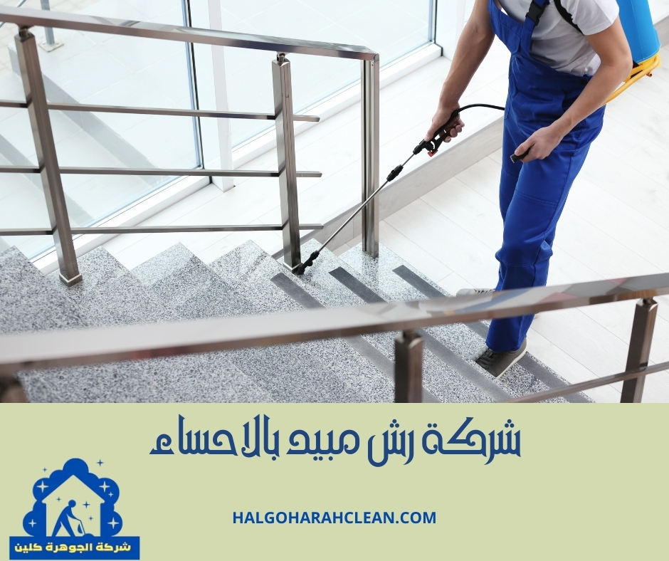 شركة رش مبيد بالاحساء